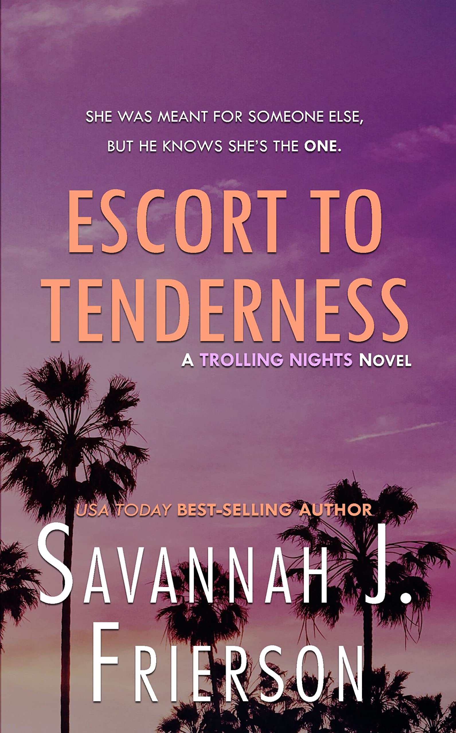 Escort to Tenderness (Kindle Edition)