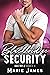 Blackbridge Security Box Set 2