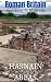 Roman Britain: A New Histor...