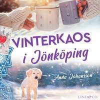 Vinterkaos i Jönköping (Sara Lindström, #1)