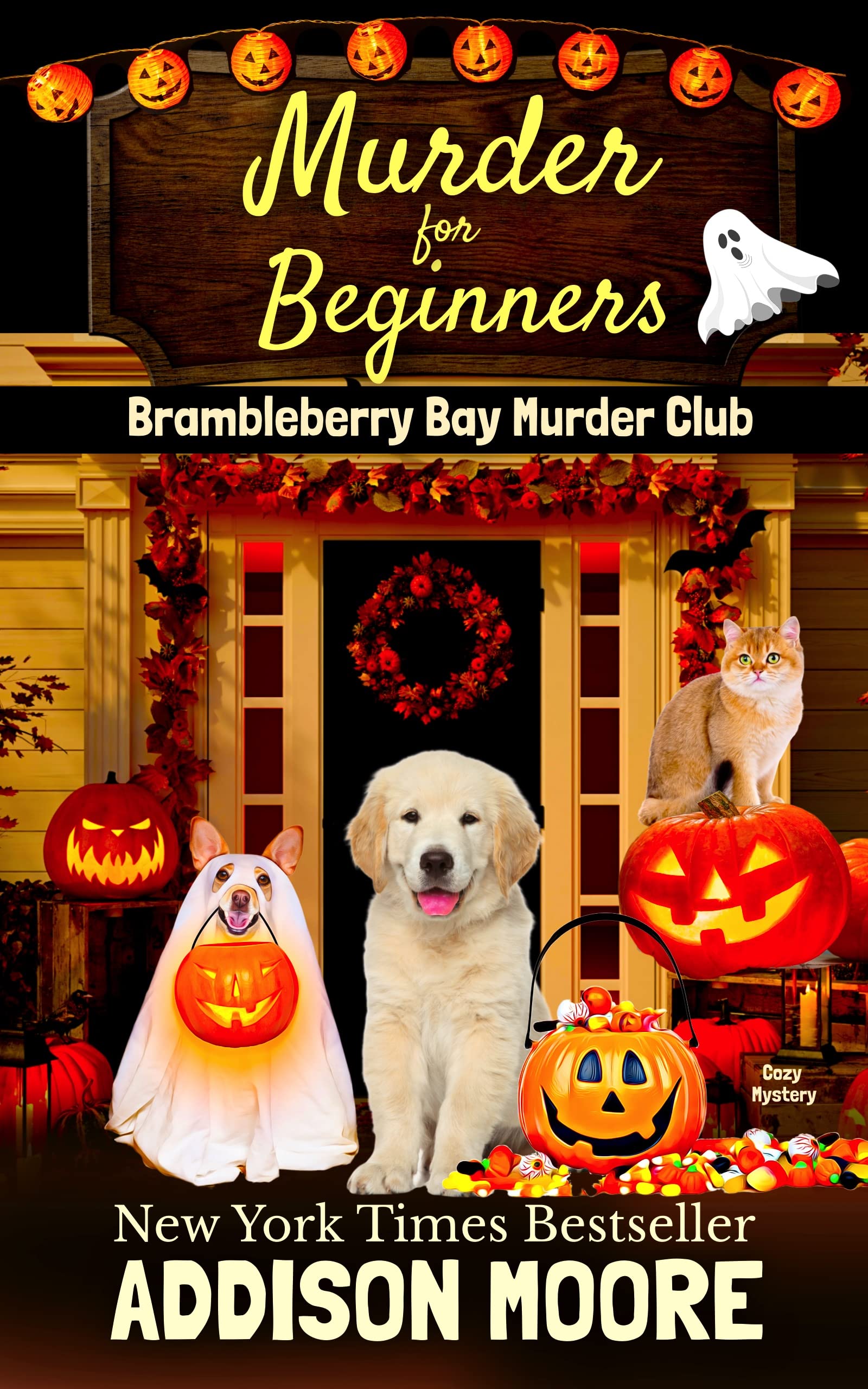Murder for Beginners (Brambleberry Bay Murder Club #2)