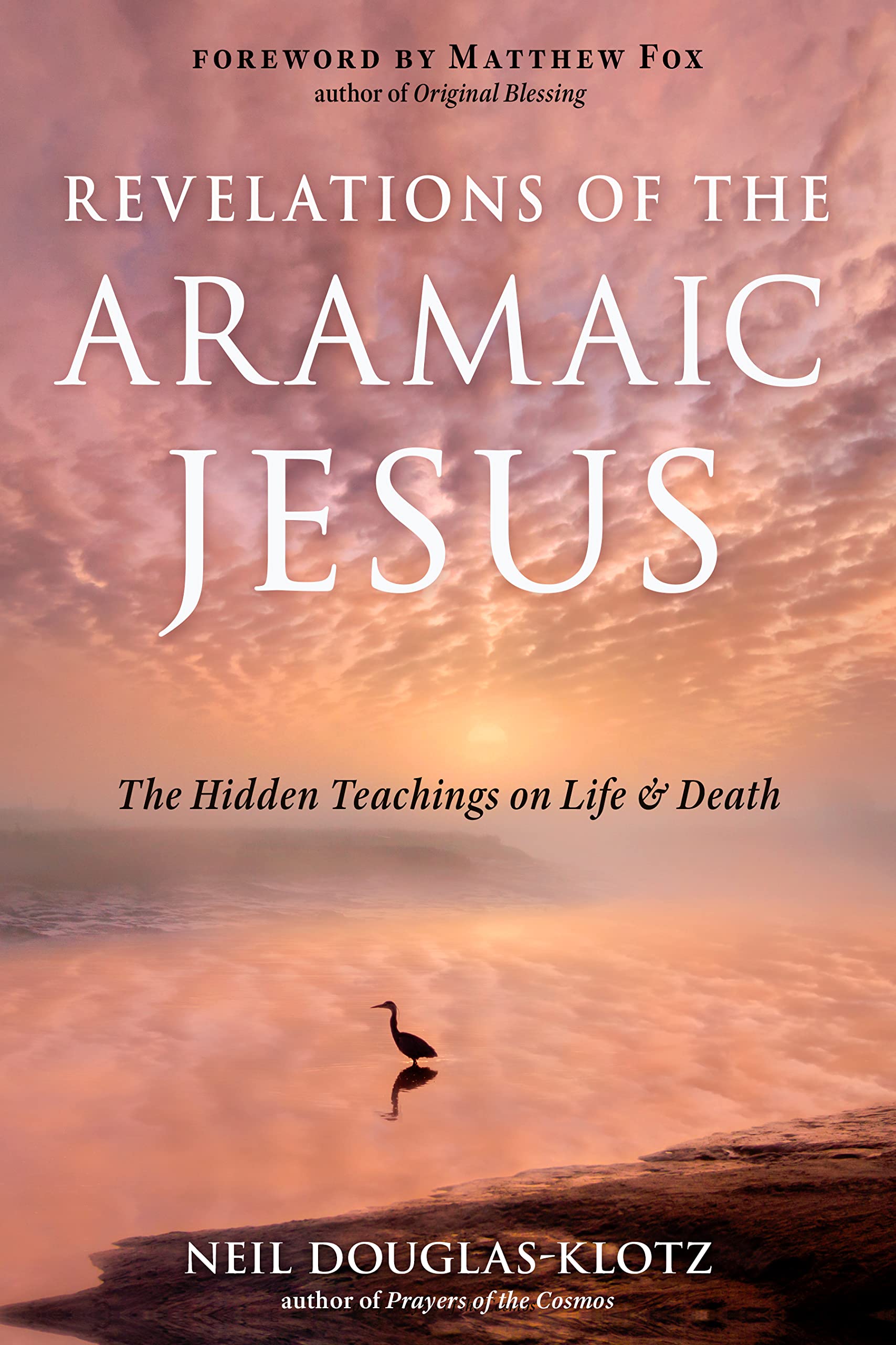 Revelations of the Aramaic Jesus: The Hidden Teachings on Life and Death (Wisdom of the Aramaic Jesus)