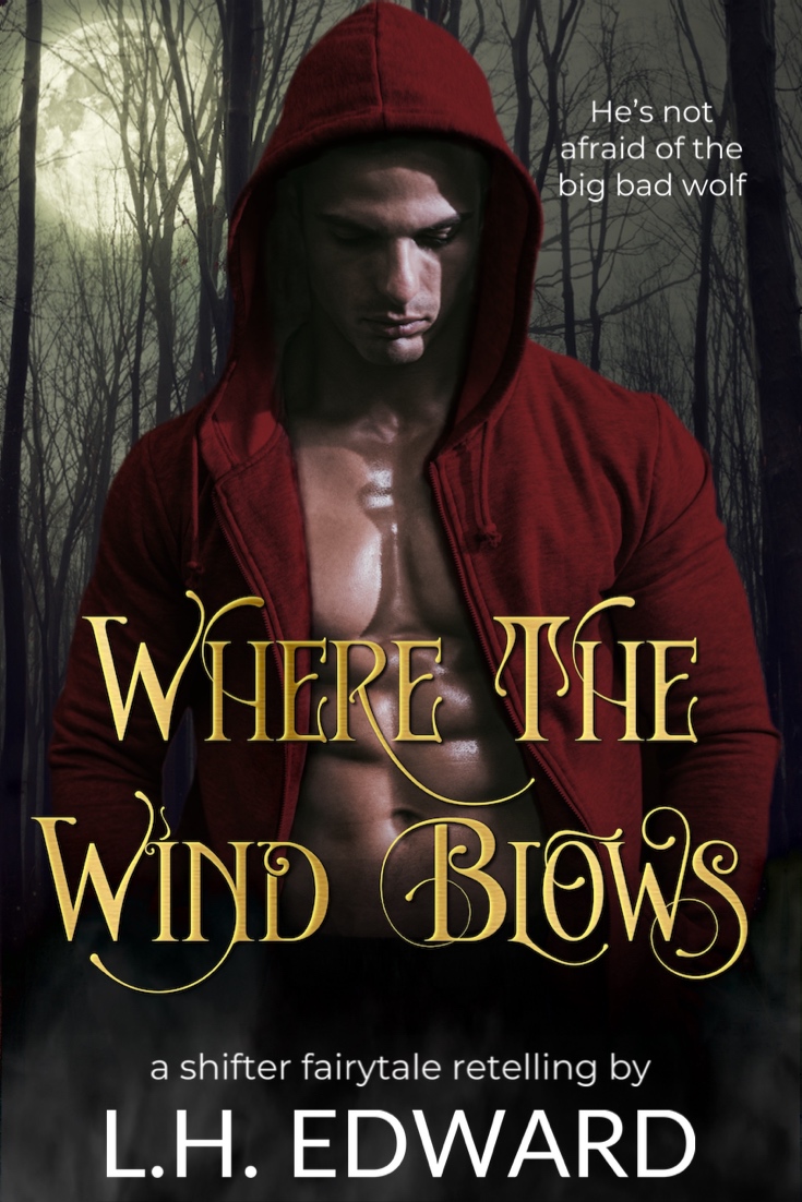Where the Wind Blows (Kindle Edition)