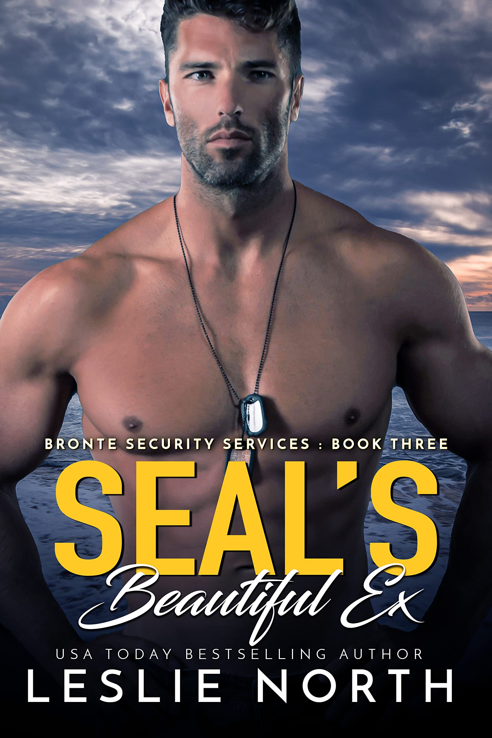 SEAL's Beautiful Ex (Bronte Security Services, #3)