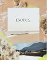 Exodus Study Book...