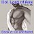 Kol, Lord of Ass: Book 2: O...