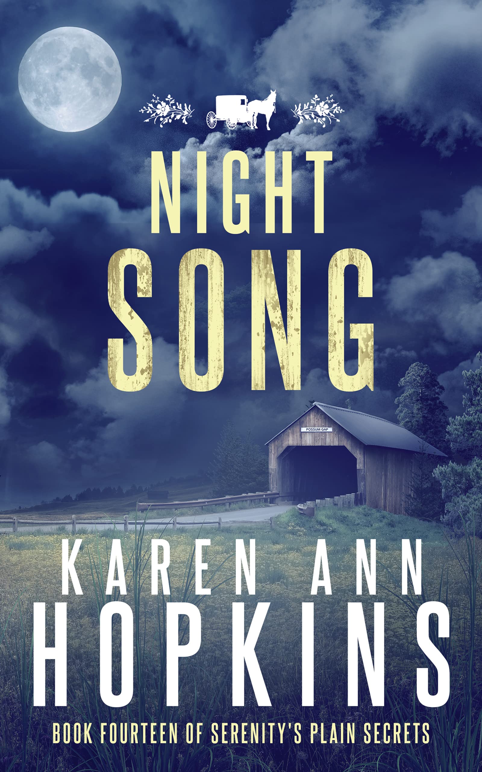 Night Song (Serenity's Plain Secrets, #14)