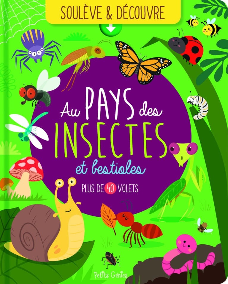 Au pays des insectes et bestioles (Paperback)