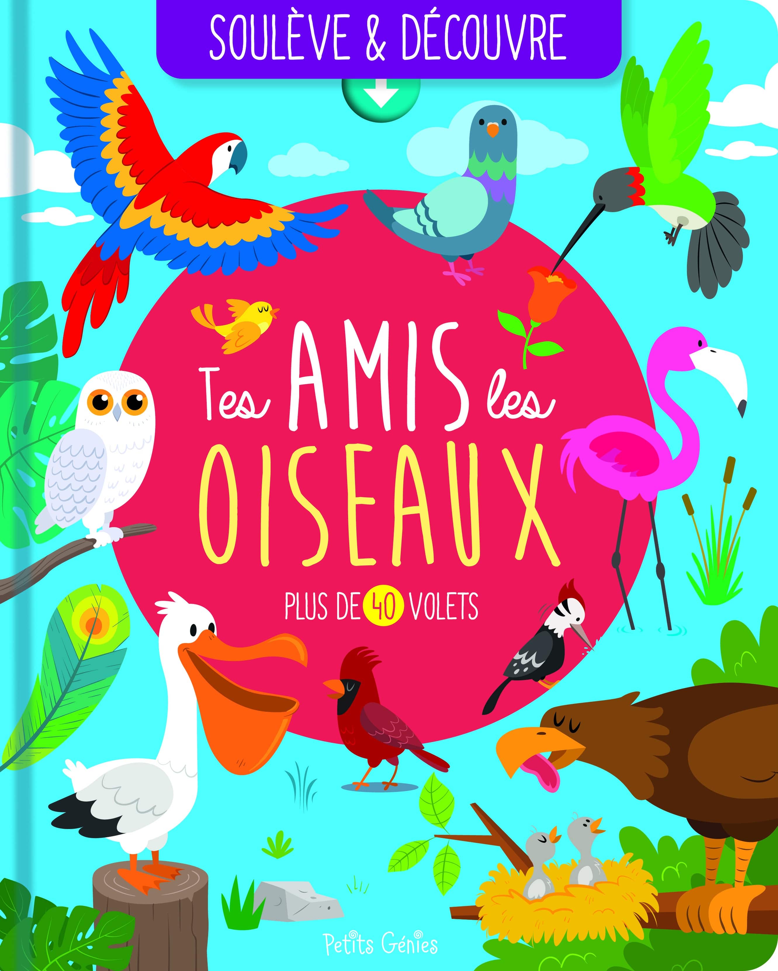 Tes amis les oiseaux (Paperback)