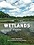 Wetlands: An Introduction
