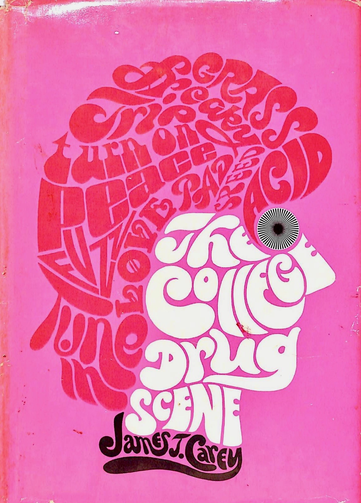 The College Drug Scene (Spectrum Books)