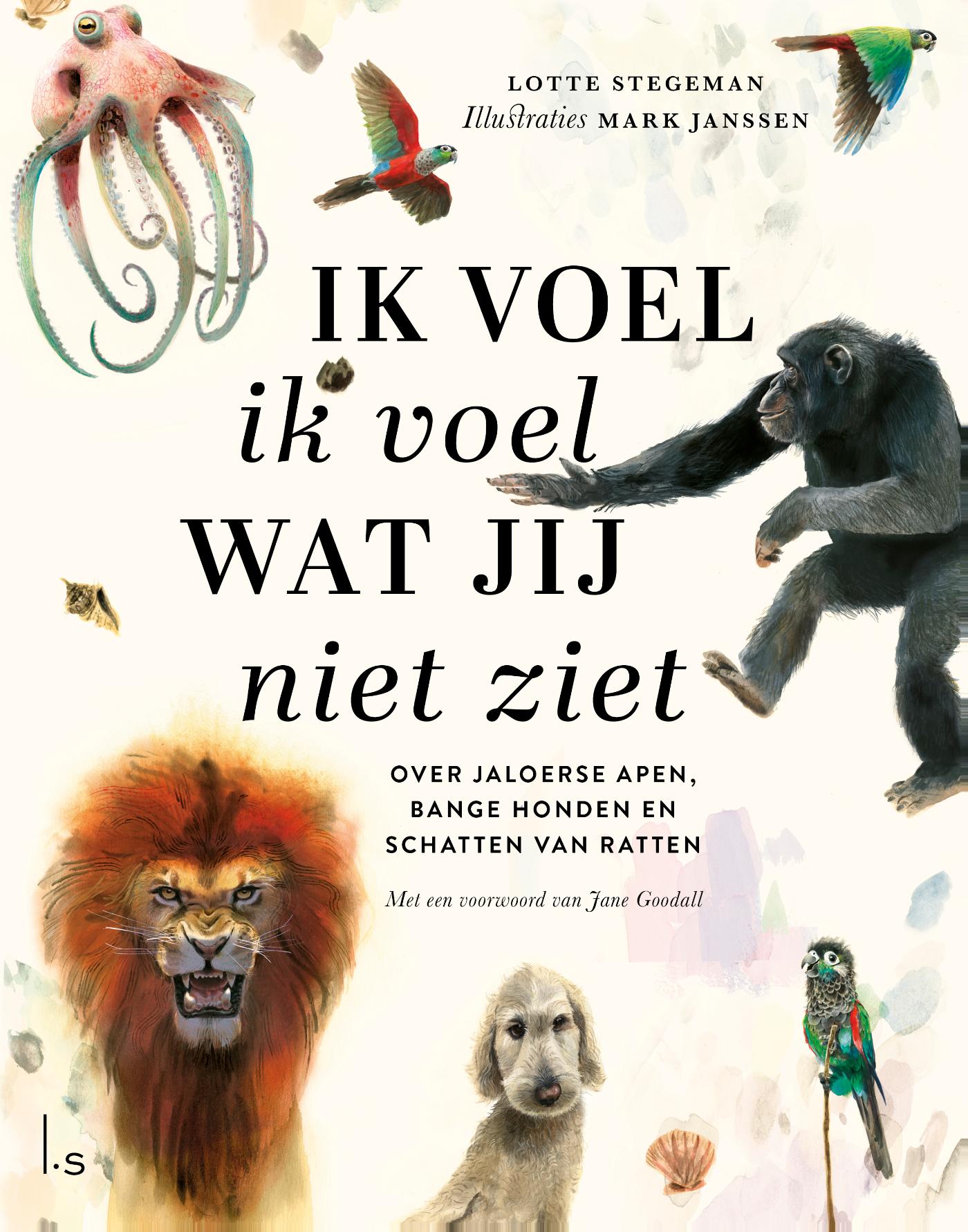 Ik voel ik voel wat jij niet ziet (Hardcover)