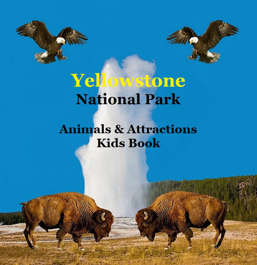 Yellowstone Park Animals & Attractions Kids Book