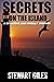Secrets on the Island (DI L...