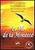 Le Vol De La Mouette