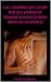 5 in 1 Vampire Love Story Box Set by Veronica Ambrose