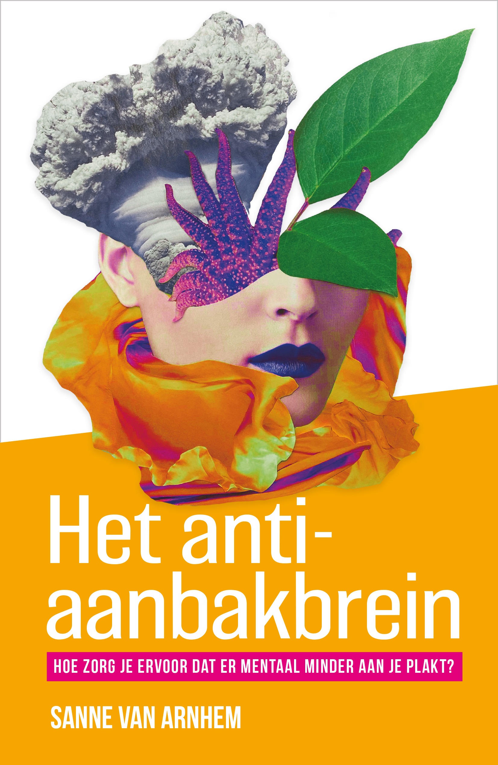 Het Anti-aanbakbrein (Paperback)