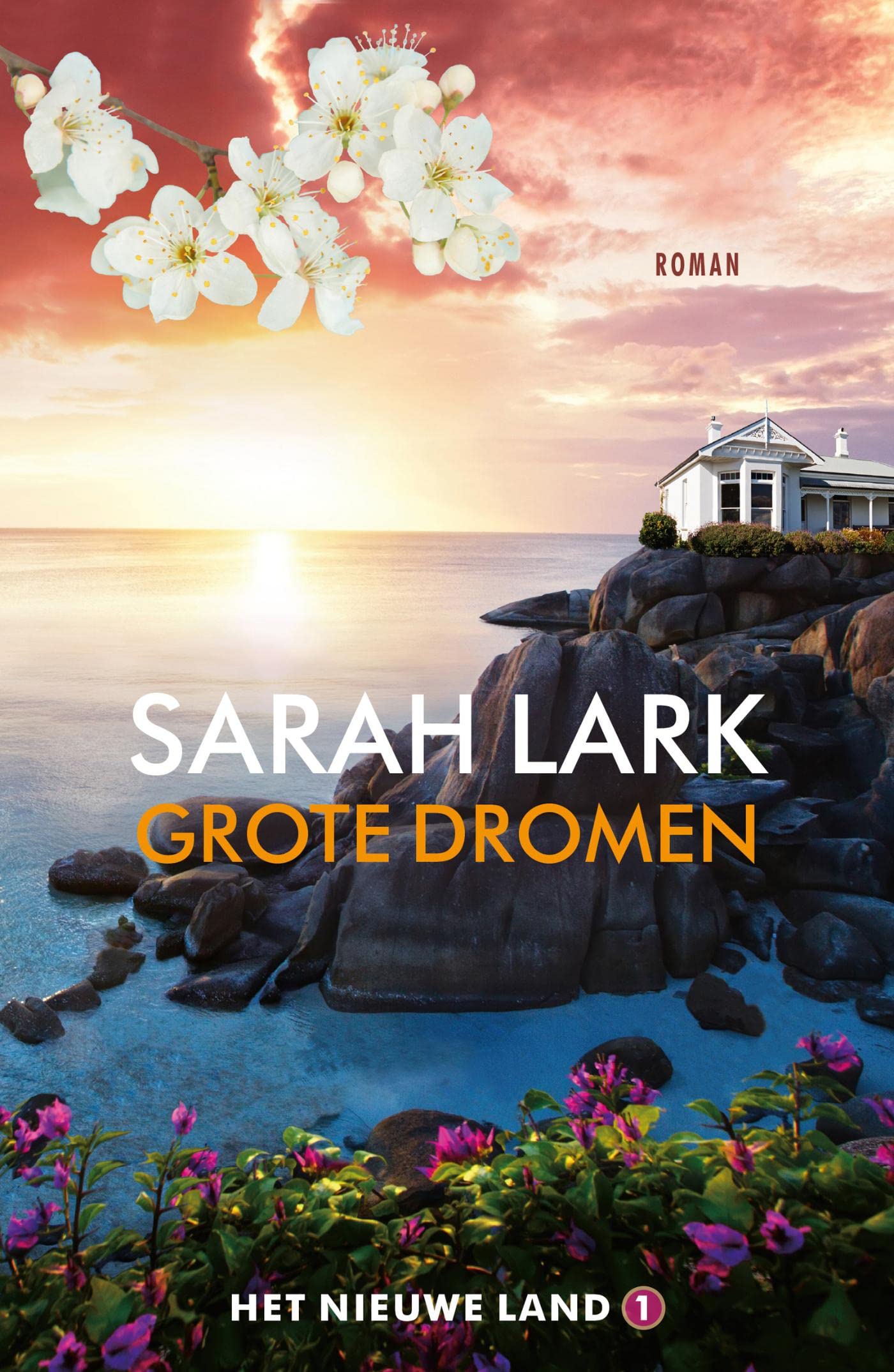 Grote dromen (Het nieuwe land, #1)