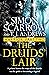The Druids' Lair (Warrior #2)