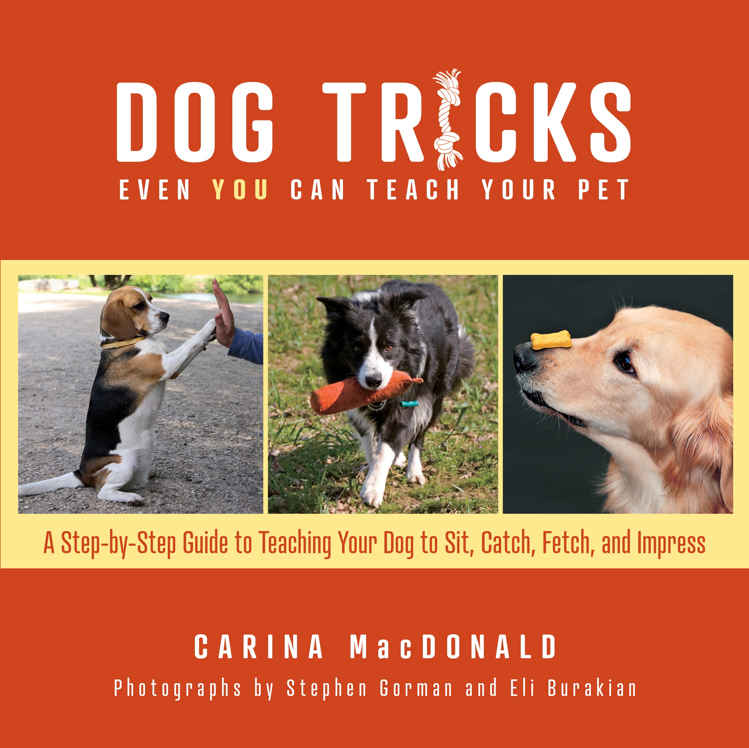 Dog Tricks Even You Can Teach Your Pet: A Step-by-Step Guide to Teaching Your Pet to Sit, Catch, Fetch, and Impress (Paperback)