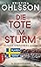 Die Tote im Sturm (August Strindberg ermittelt #1)