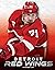 Detroit Red Wings