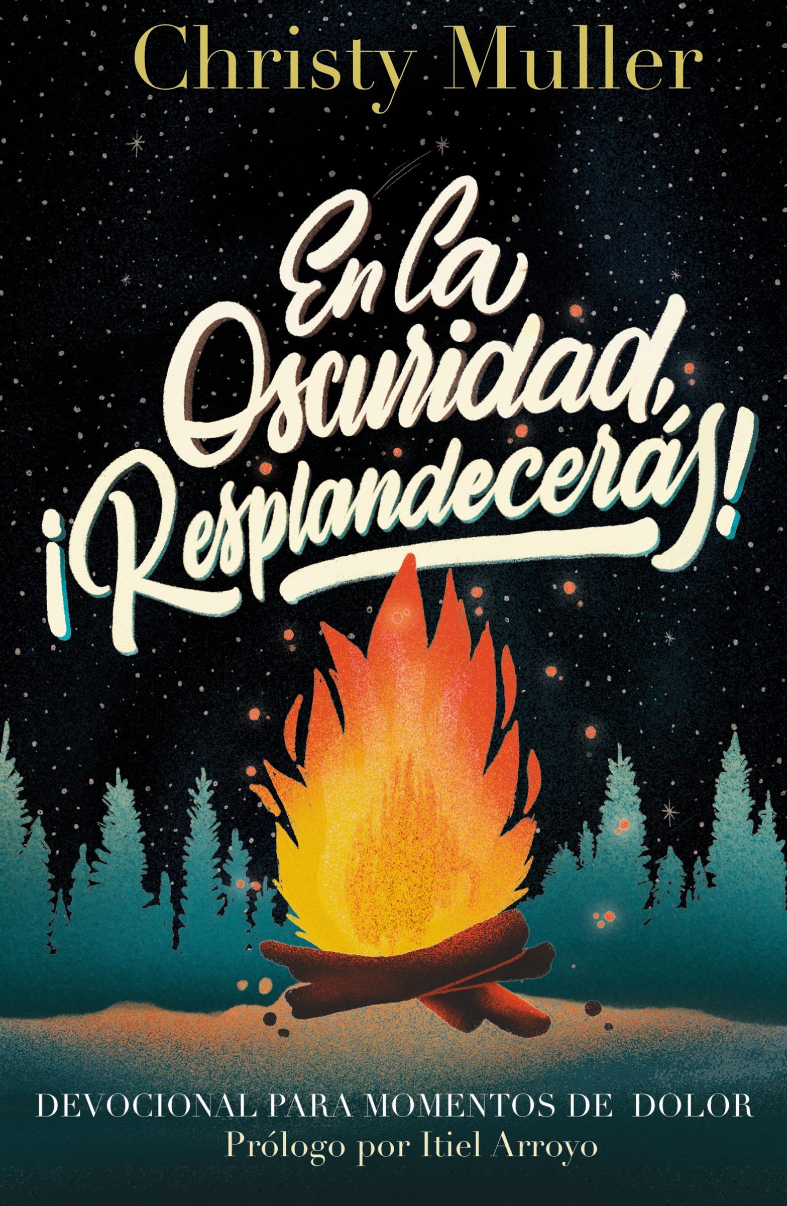 En la oscuridad, ¡Resplandecerás!: Devocional para Momentos de Dolor (Spanish Edition)