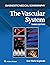 The Vascular System