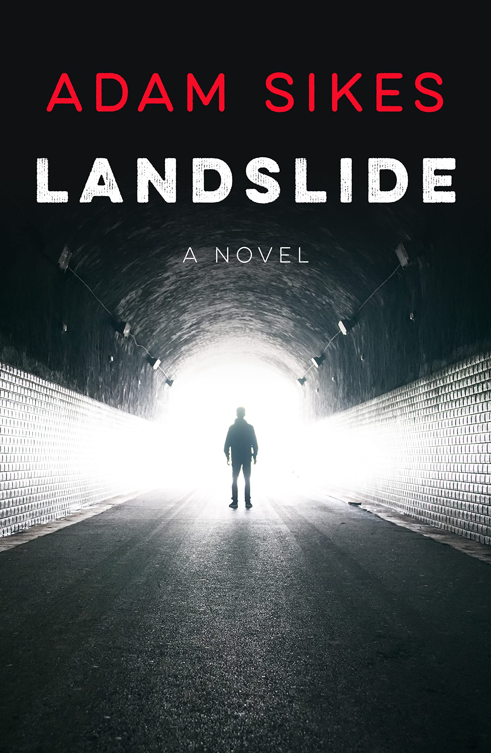 Landslide (Mason Hackett, #1)