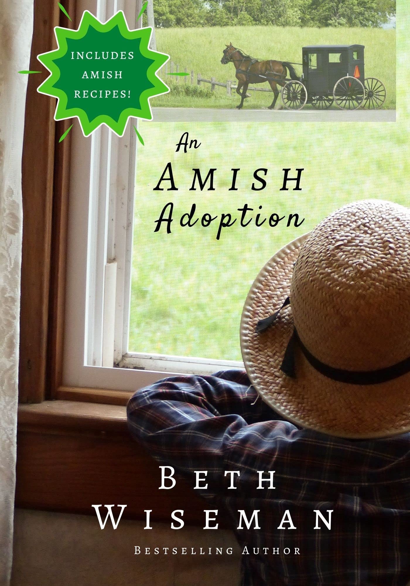 An Amish Adoption (Kindle Edition)