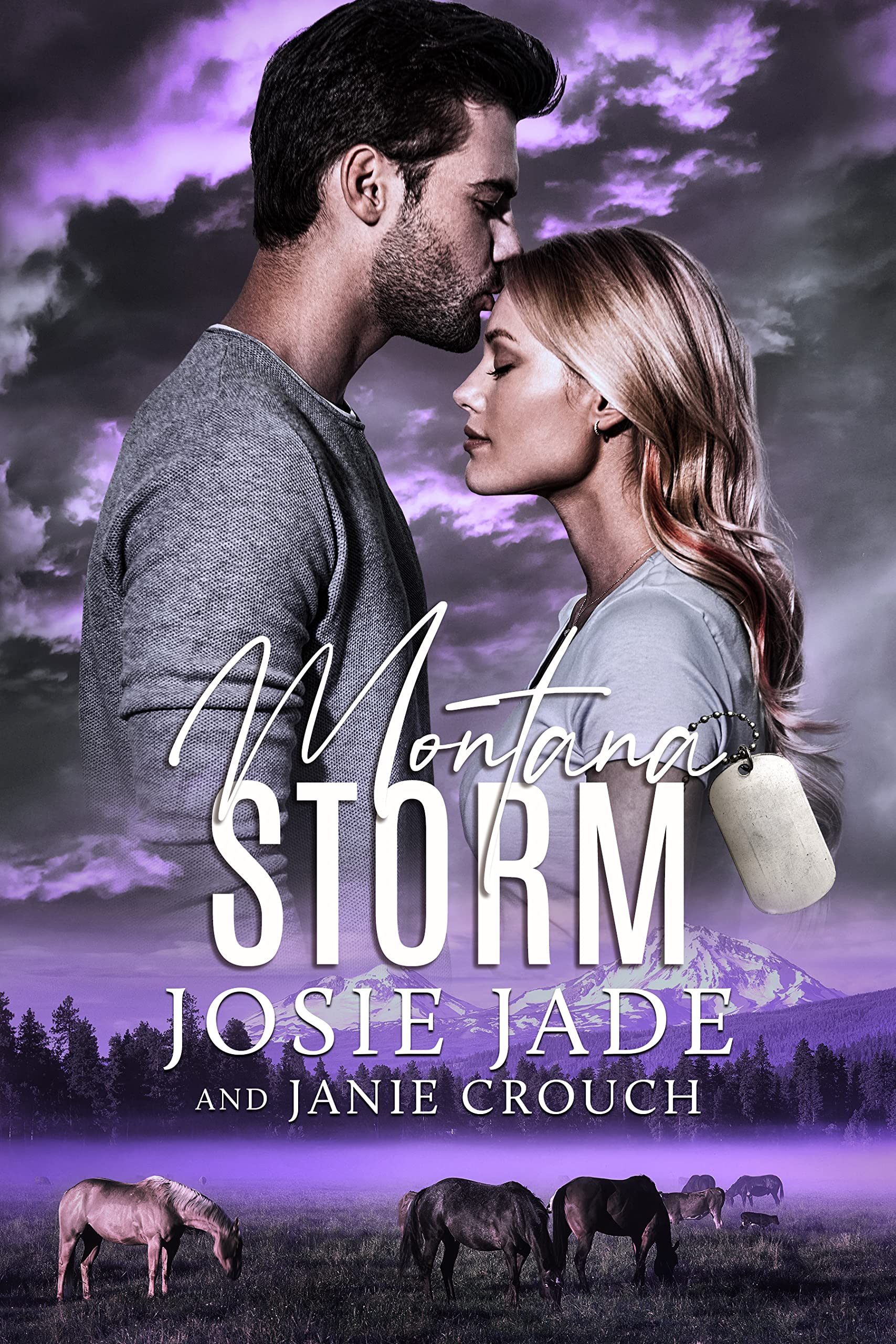 Montana Storm (Resting Warrior Ranch, #5)