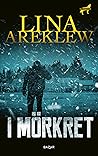 I mörkret