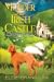 Murder at an Irish Castle (...