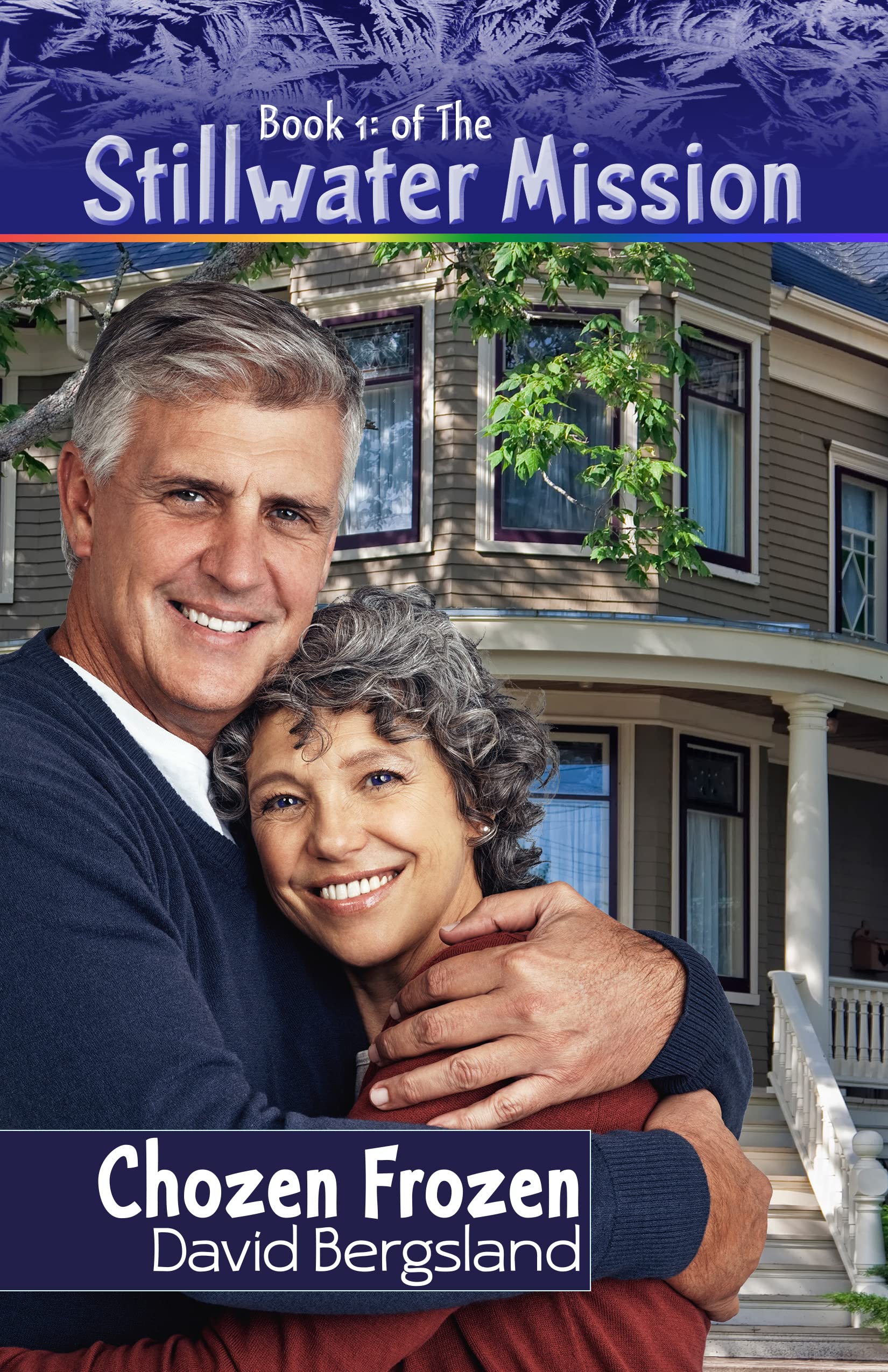 Chozen Frozen (Stillwater Mission Book 1)