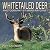 White-Tailed Deer 2001 Cale...