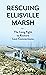 Rescuing Ellisville Marsh: The Long Fight to Restore Lost Connections