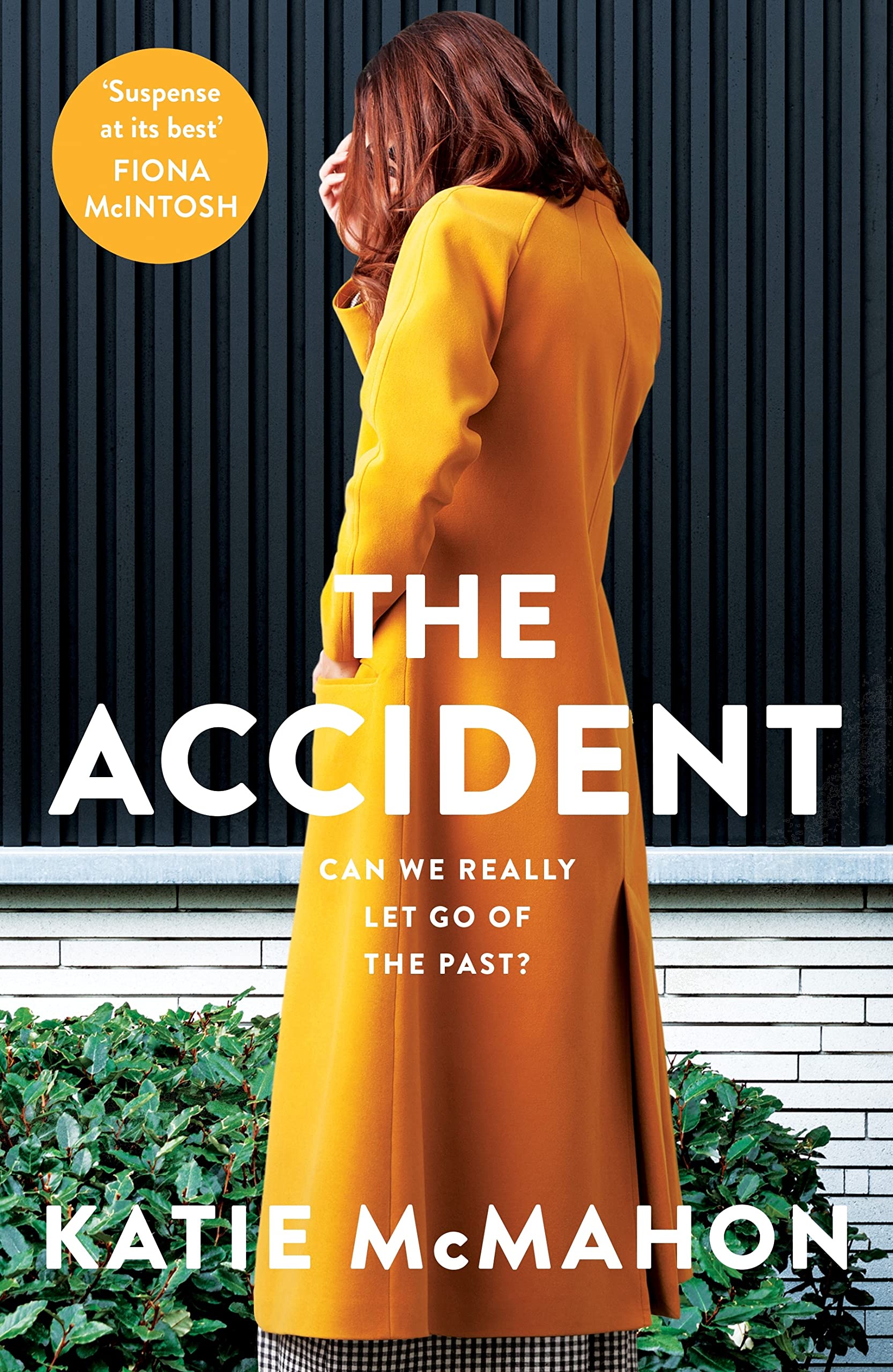 The Accident (Kindle Edition)