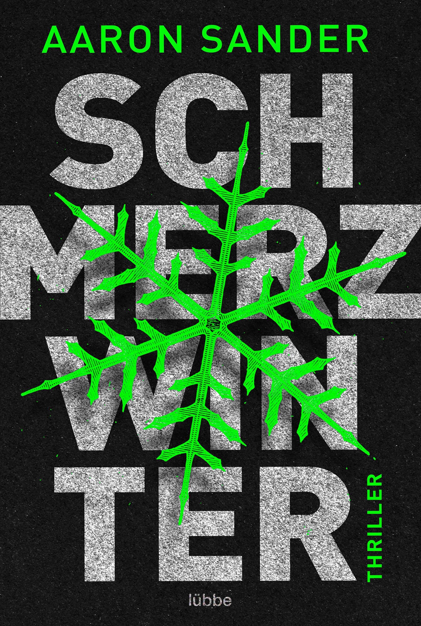 Schmerzwinter: Thriller (German Edition)