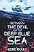 BETWEEN THE DEVIL AND THE DEEP BLUE SEA