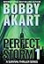 Perfect Storm 1: Post Apocalyptic Survival Thriller