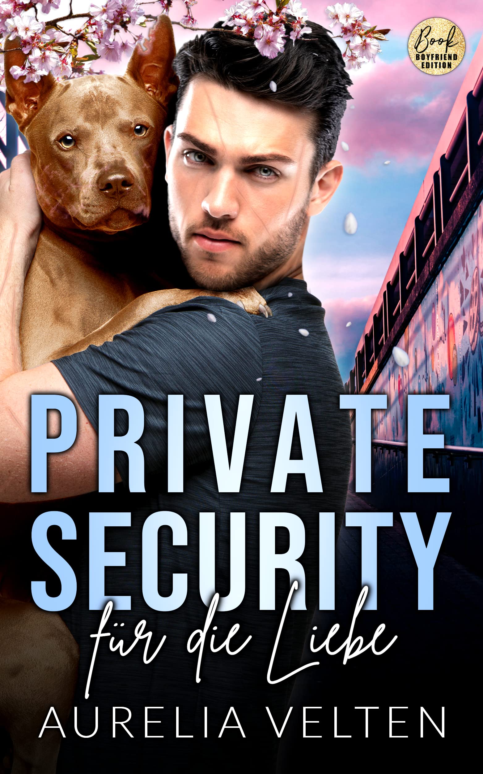 Private Security für die Liebe (Boston In Love)