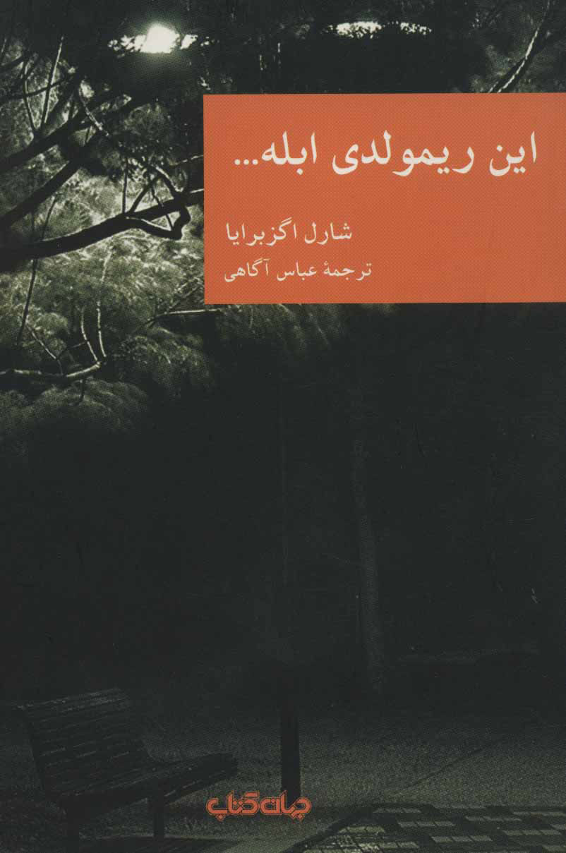 این ریمولدی ابله (Paperback)