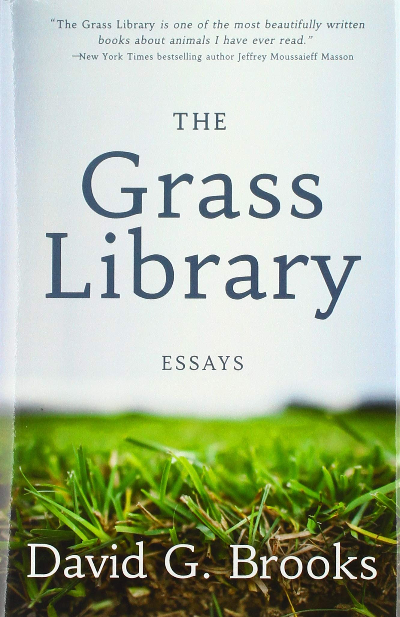 The Grass Library: Essays (Hardcover)