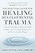 The Practical Guide for Healing Developmental Trauma: Using the NeuroAffective Relational Model to Address Adverse Childhood Experiences and Resolve Complex Trauma