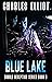 Blue Lake (Double Deception Book 3)