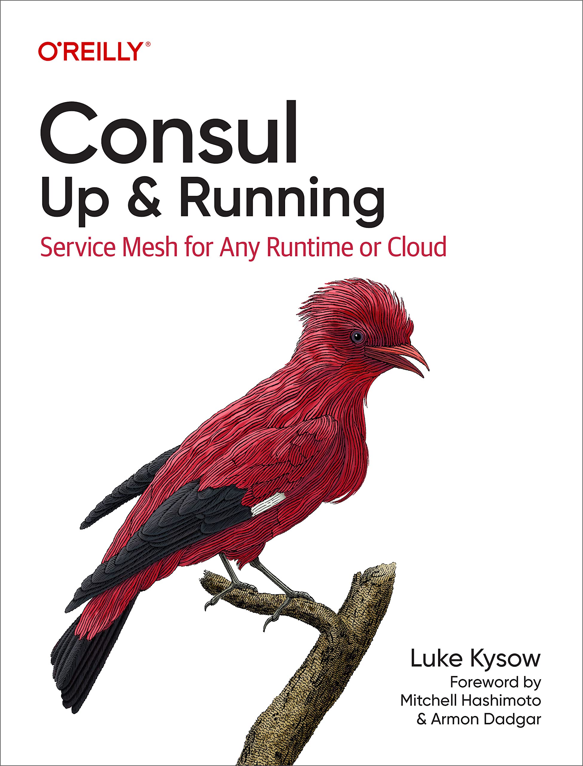 Consul: Up and Running: Service Mesh for Any Runtime or Cloud (Paperback)