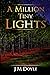 A Million Tiny Lights: A Novel