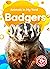 Badgers (Blastoff! Beginners: Animals in My Yard)