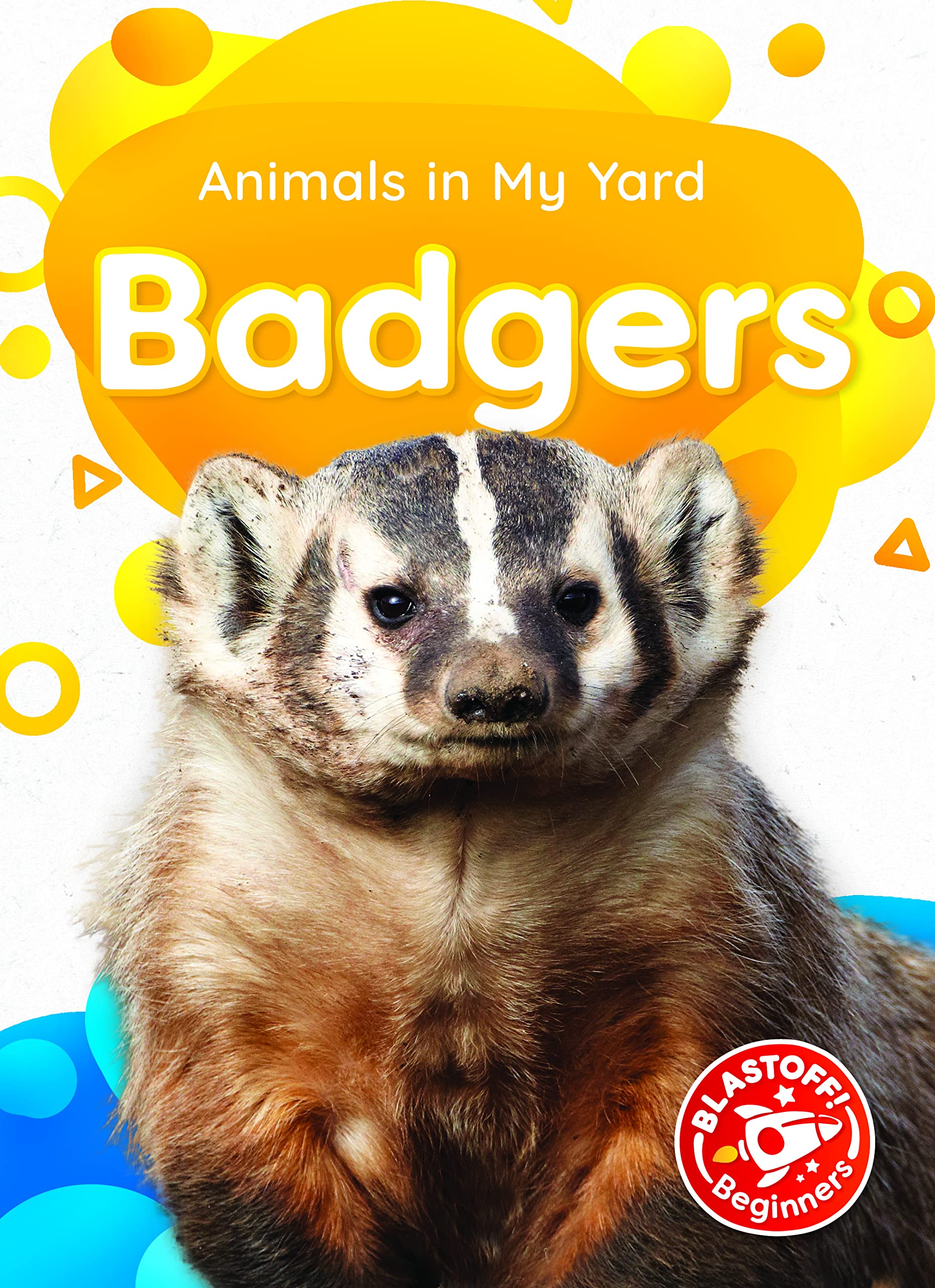 Badgers (Blastoff! Beginners: Animals in My Yard)