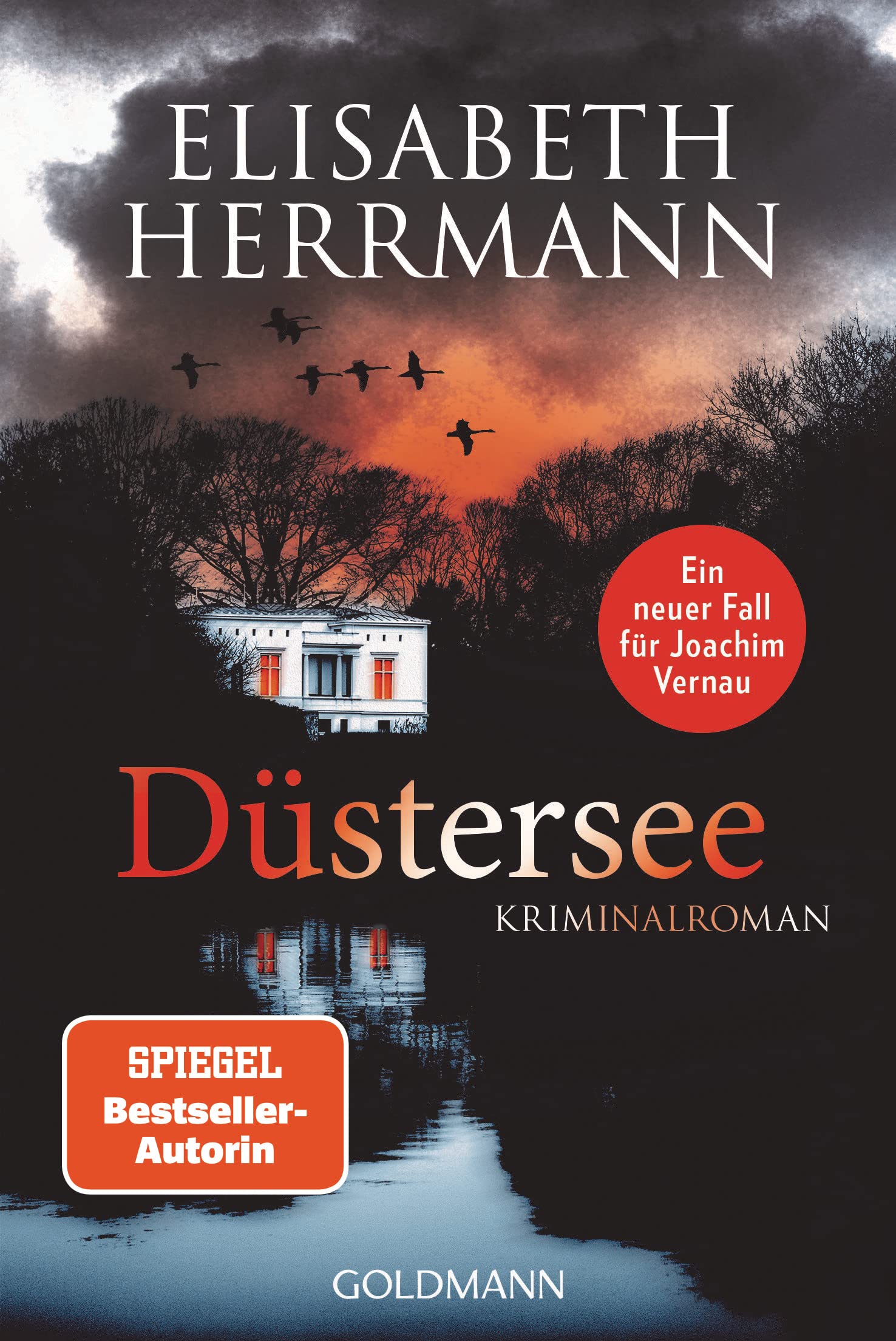 Düstersee (Joachim Vernau, #7)
